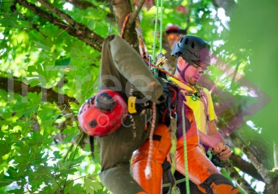 BCTCC 2023 tree climbing competition