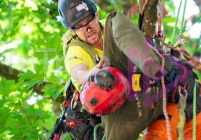 BCTCC 2023 tree climbing competition