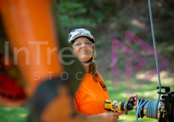 Arborist tree climbing competition BCTCC 2023 tree climbing competition