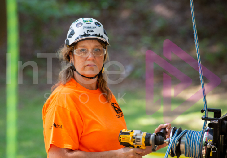 Arborist tree climbing competition BCTCC 2023 tree climbing competition