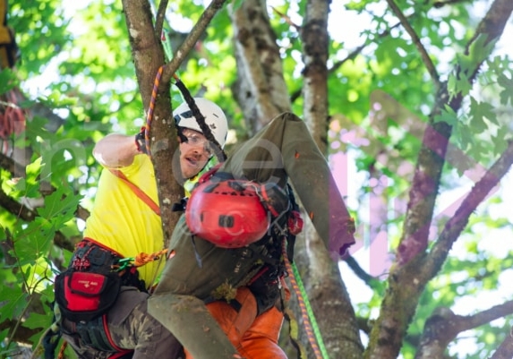 Arborist tree climbing competition BCTCC 2023 tree climbing competition