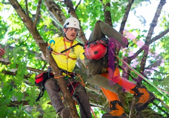 Arborist tree climbing competition BCTCC 2023 tree climbing competition