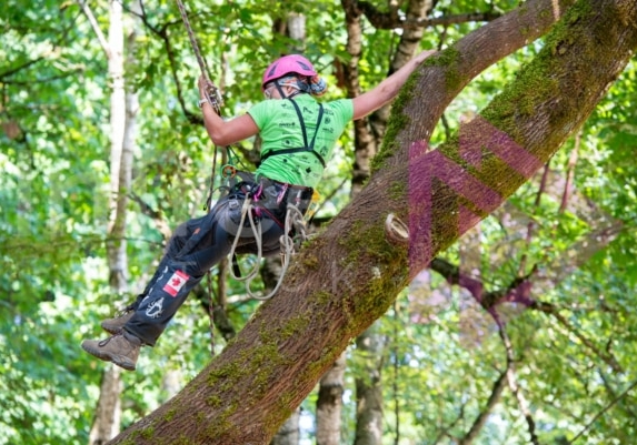 Arborist tree climbing competition BCTCC 2023 tree climbing competition