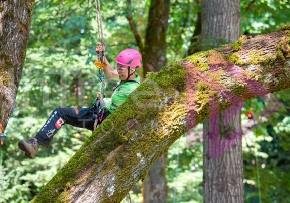 Arborist tree climbing competition BCTCC 2023 tree climbing competition