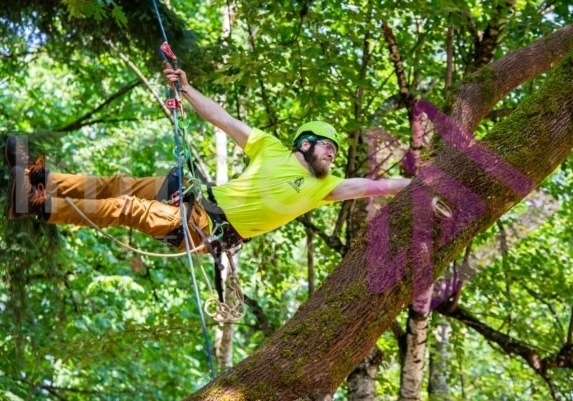 Arborist tree climbing competition BCTCC 2023 tree climbing competition