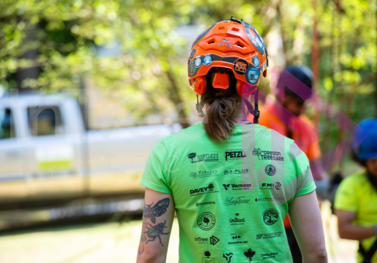 Arborist tree climbing competition BCTCC 2023 tree climbing competition