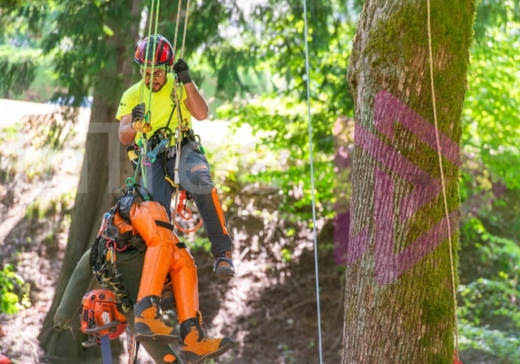 Arborist tree climbing competition BCTCC 2023 tree climbing competition