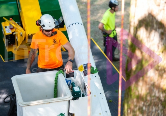 BCTCC 2023 tree climbing competition