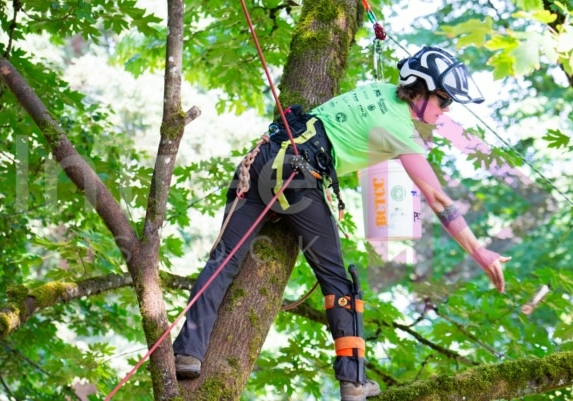 Arborist tree climbing competition BCTCC 2023 tree climbing competition