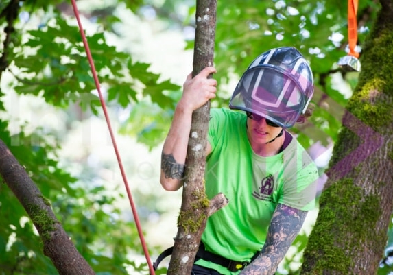 Arborist tree climbing competition BCTCC 2023 tree climbing competition