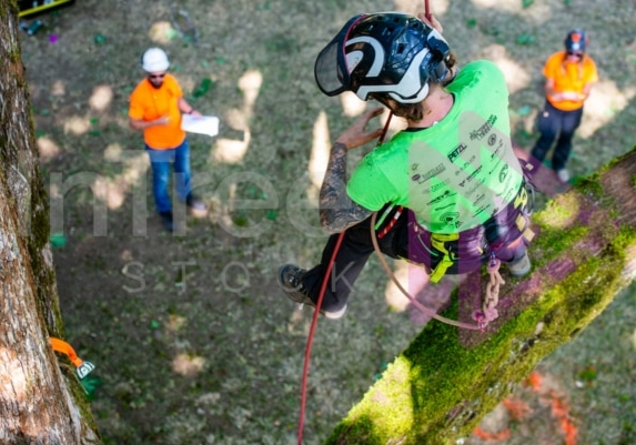 Arborist tree climbing competition BCTCC 2023 tree climbing competition