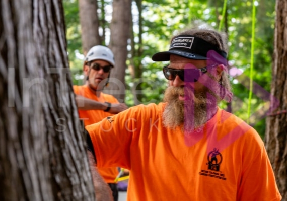 Arborist tree climbing competition BCTCC 2023 tree climbing competition