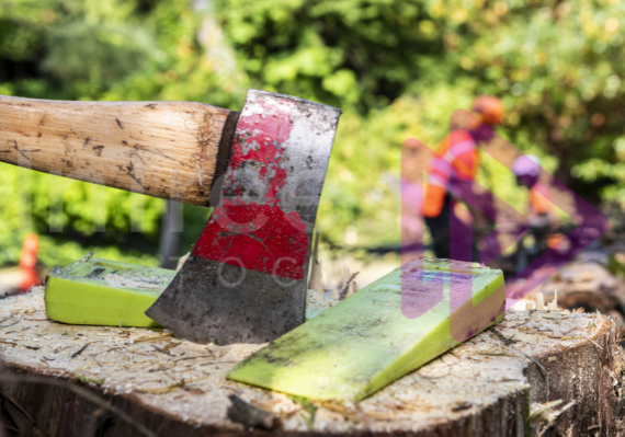 Axe and wedges on a stump -Arborist Stock Photo-001-21-3531 Axe and wedges on a stump