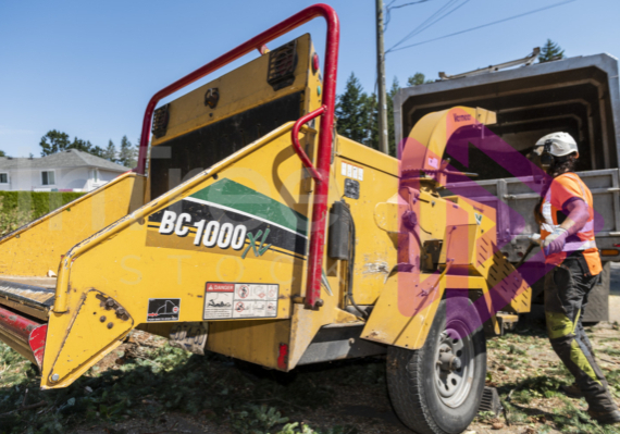 Female arborist engaging clutch on yellow chipper