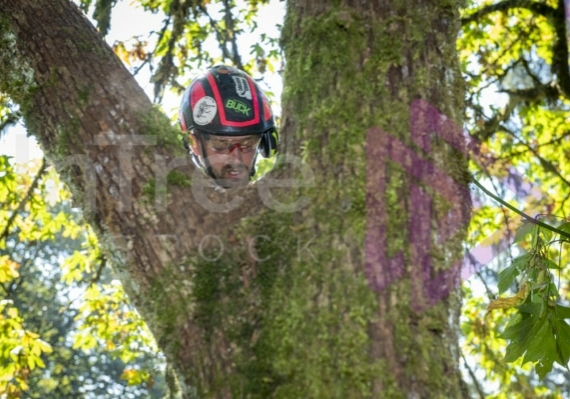 The PNW ISA, BC Tree climbing competition