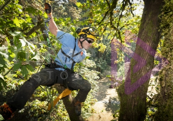 The PNW ISA, BC Tree climbing competiton