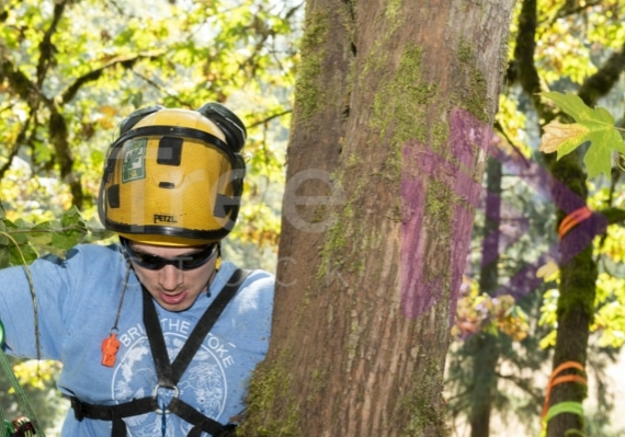 The PNW ISA, BC Tree climbing competiton