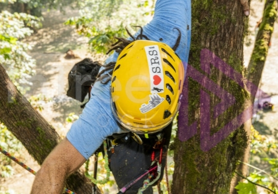 The PNW ISA, BC Tree climbing competiton