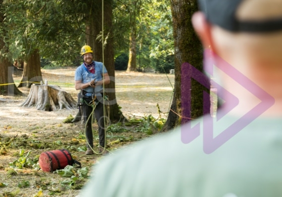 The PNW ISA, BC Tree climbing competiton