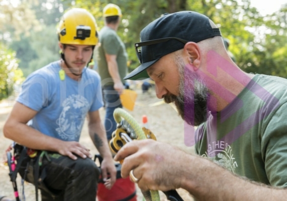 The PNW ISA, BC Tree climbing competiton