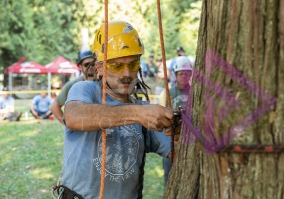 The PNW ISA, BC Tree climbing competiton