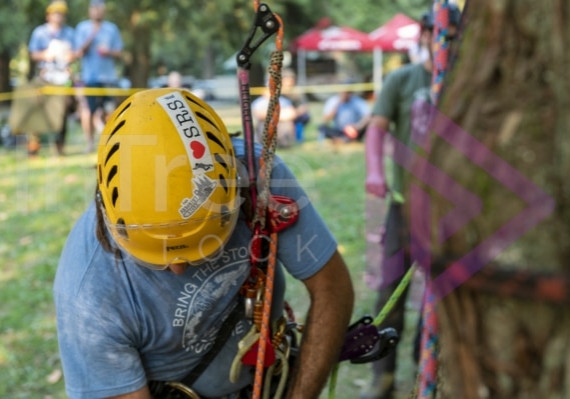 The PNW ISA, BC Tree climbing competiton