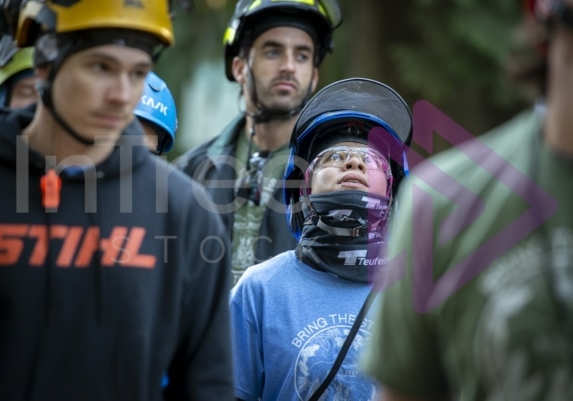 The PNW ISA, BC Tree climbing competiton