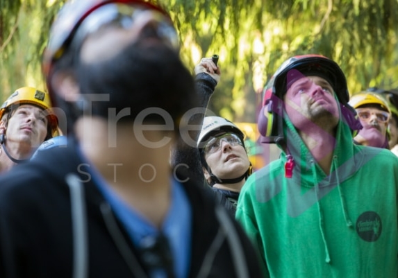 The PNW ISA, BC Tree climbing competiton