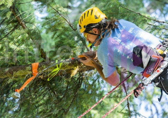 The PNW ISA, BC Tree climbing competiton