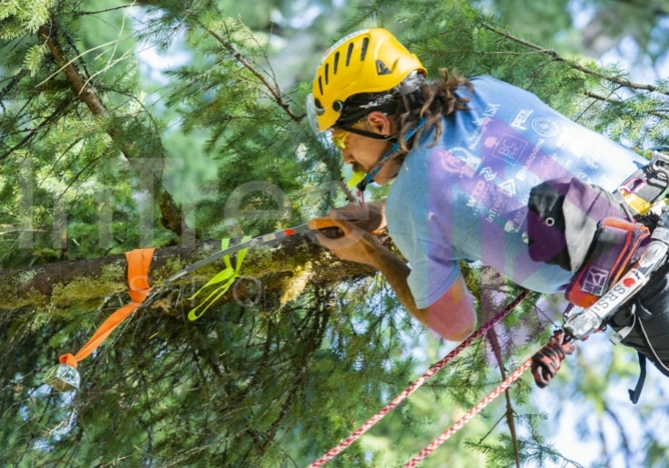 The PNW ISA, BC Tree climbing competiton