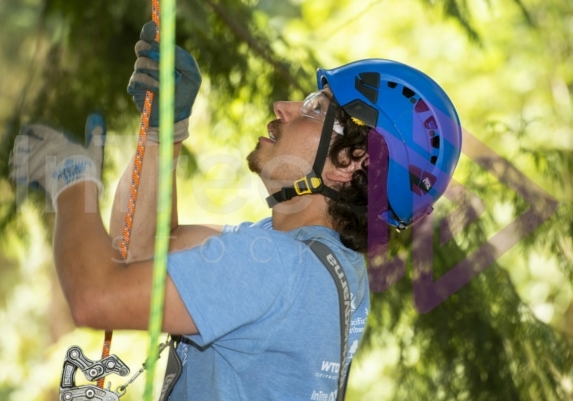 The PNW ISA, BC Tree climbing competiton