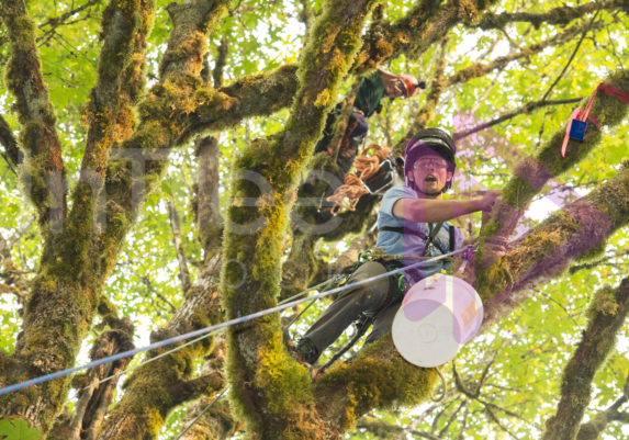 The PNW ISA, BC Tree climbing competiton Masters event