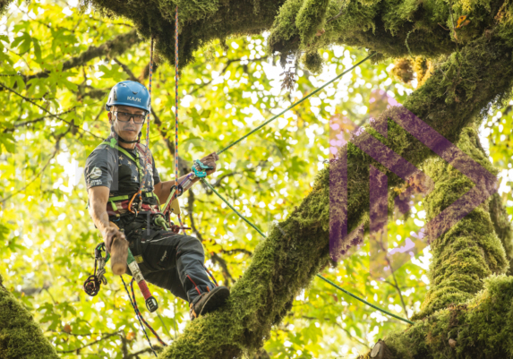 The PNW ISA, BC Tree climbing competiton Masters event