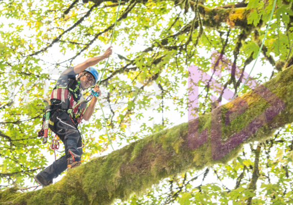 The PNW ISA, BC Tree climbing competiton Masters event