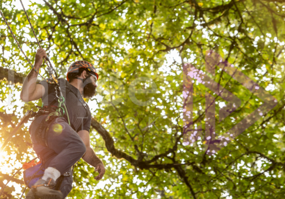 The PNW ISA, BC Tree climbing competiton Masters event