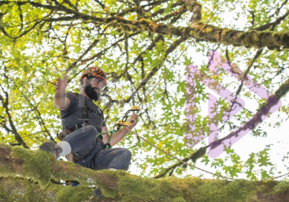 The PNW ISA, BC Tree climbing competiton Masters event