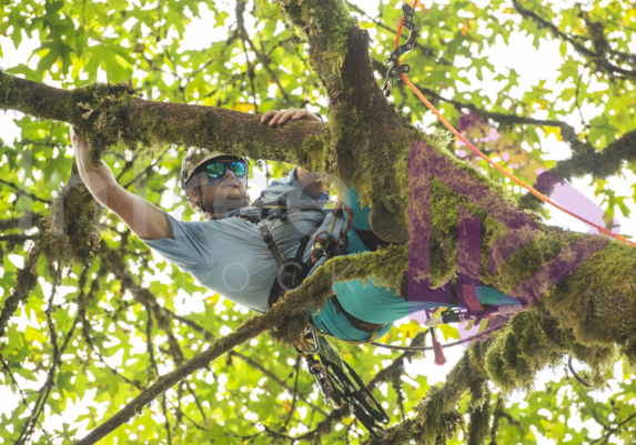 The PNW ISA, BC Tree climbing competiton Masters event