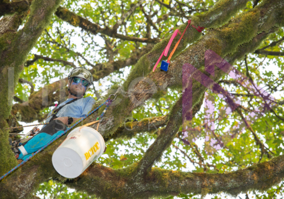 The PNW ISA, BC Tree climbing competiton Masters event