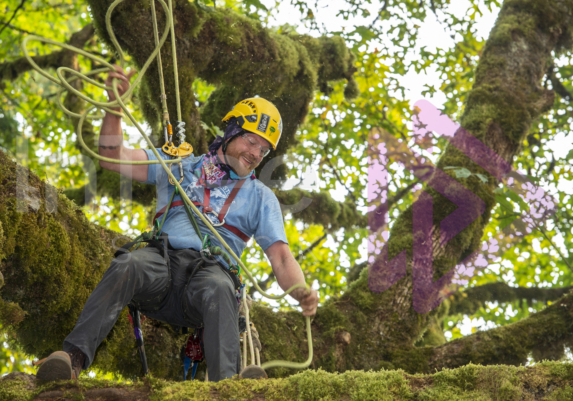 The PNW ISA, BC Tree climbing competiton Masters event