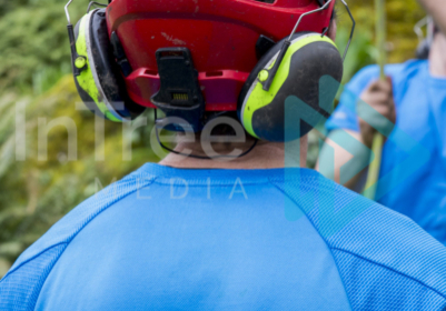 Vertical image of arborist in a red helmet with another arborist removing a climbing line