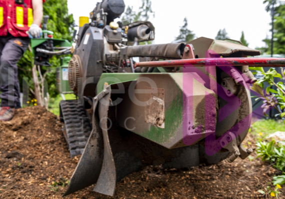 Bandit-stump-grinder-wheel-and-teeth Stump grinder wheel with operator in background
