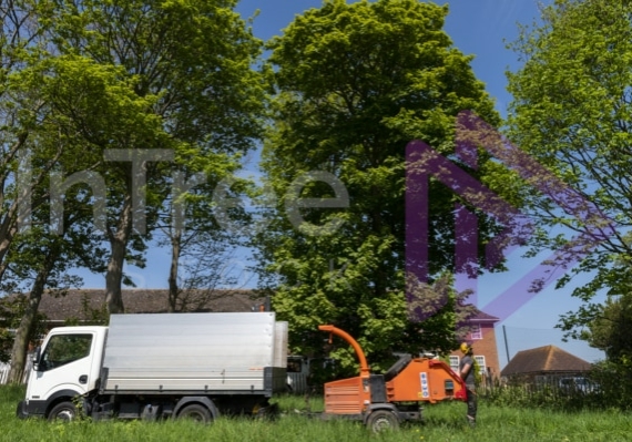 Chipper and chip truck Chip truck and chipper in field adjacent to residential homes in UK
