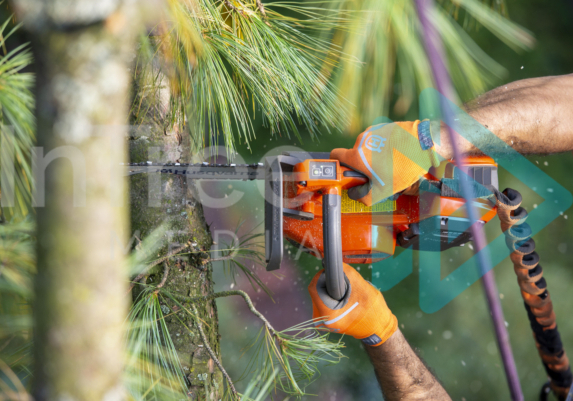 Close up of electric chainsaw with two hands and gloves Battery powered saw in use with two gloved hands