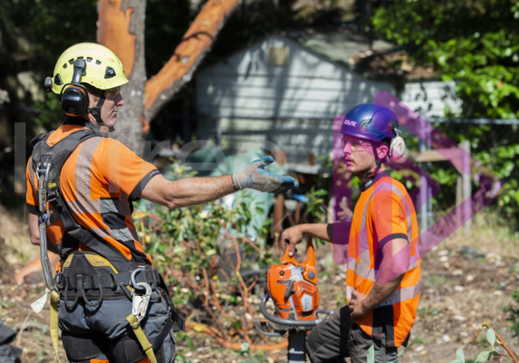 Communication between two male arborists wearing PPE