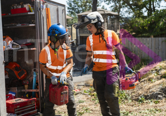 Female and male arborist communicating over fuelling chainsaw Female and male arborist communicating over fuelling chainsaw