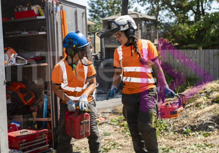 Female and male arborist communicating over fuelling chainsaw Female and male arborist communicating over fuelling chainsaw