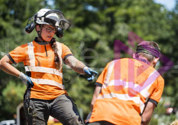 Female arborist communicating with male arborist -Arborist Stock Photo-21-001-3077 Female arborist communicating with male arborist