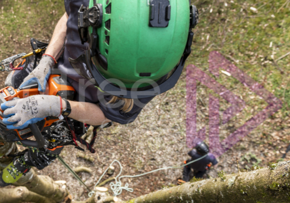 Female arborist looking down at groundie Female arborist looking down at groundie