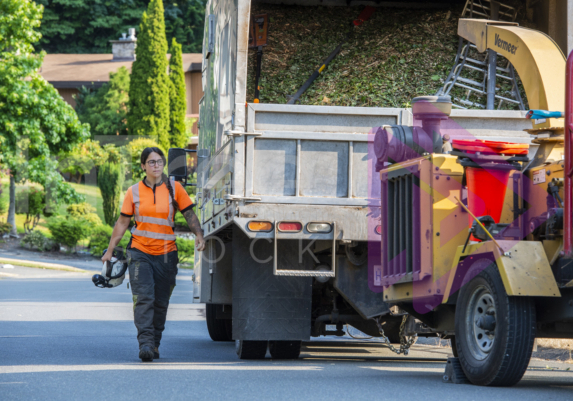 Female arborist walking alongside chip truck Female arborist walking alongside chip truck