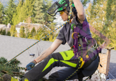 Female climbing out on branch using ropes